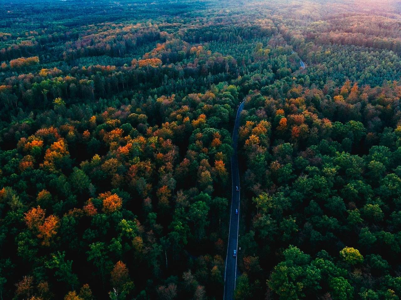 Black Forest, Germany