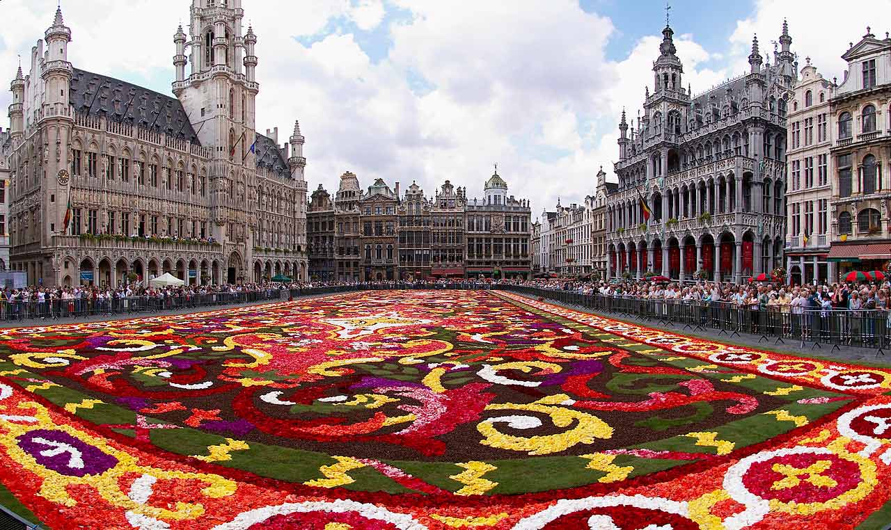 Brussels Flower Carpet