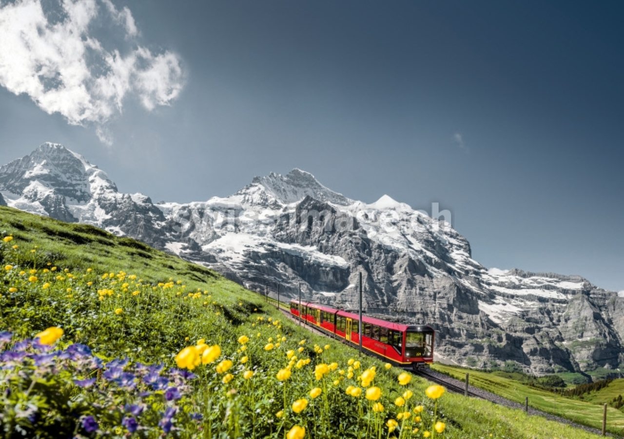 Jungfrau Railway c. Jungfraubahnen AG:Swiss Travel System