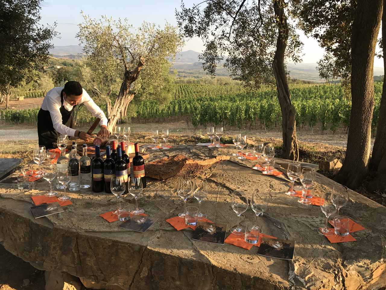 Wine-tasting-in-the-vineyards-in-Italy-with-Wineris